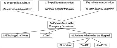 An exploratory assessment of the management of pediatric traumatic brain injury in three centers in Africa